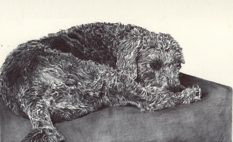 Landscape Portrait of Solly